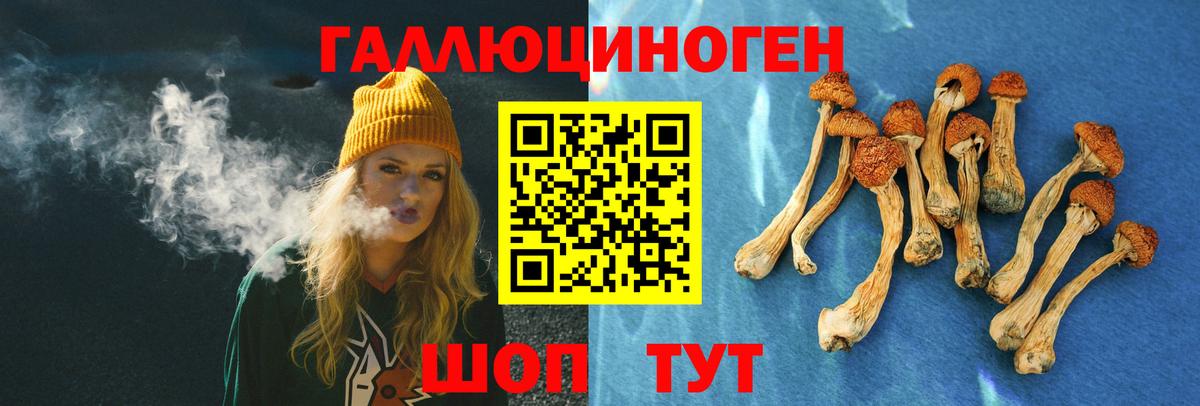 МЕФ кристаллы  ГАШИШ  МЕТ  Вход с VPN  Шали  Каннабис 